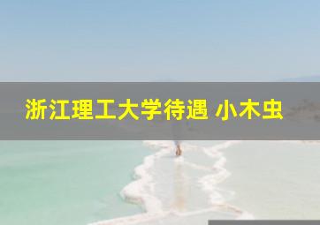 浙江理工大学待遇 小木虫